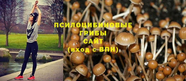 марки lsd Алексин
